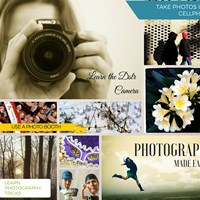 Nicole Bovie's Portfolio